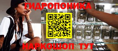 spice Можга